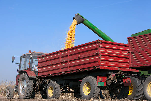 Reliable Corn and Soybean Transport Services in Lancaster County Region